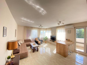 Molly's Suite